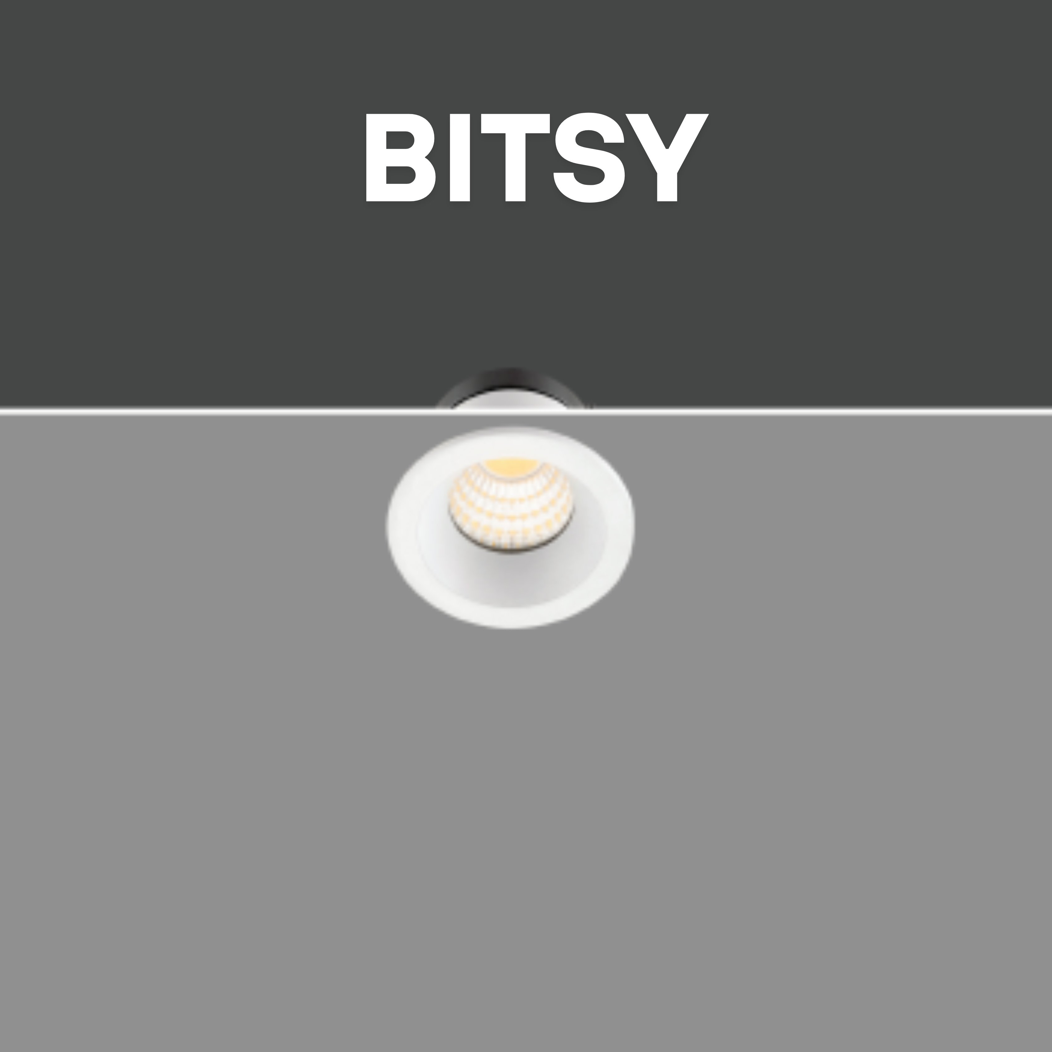 BITSY