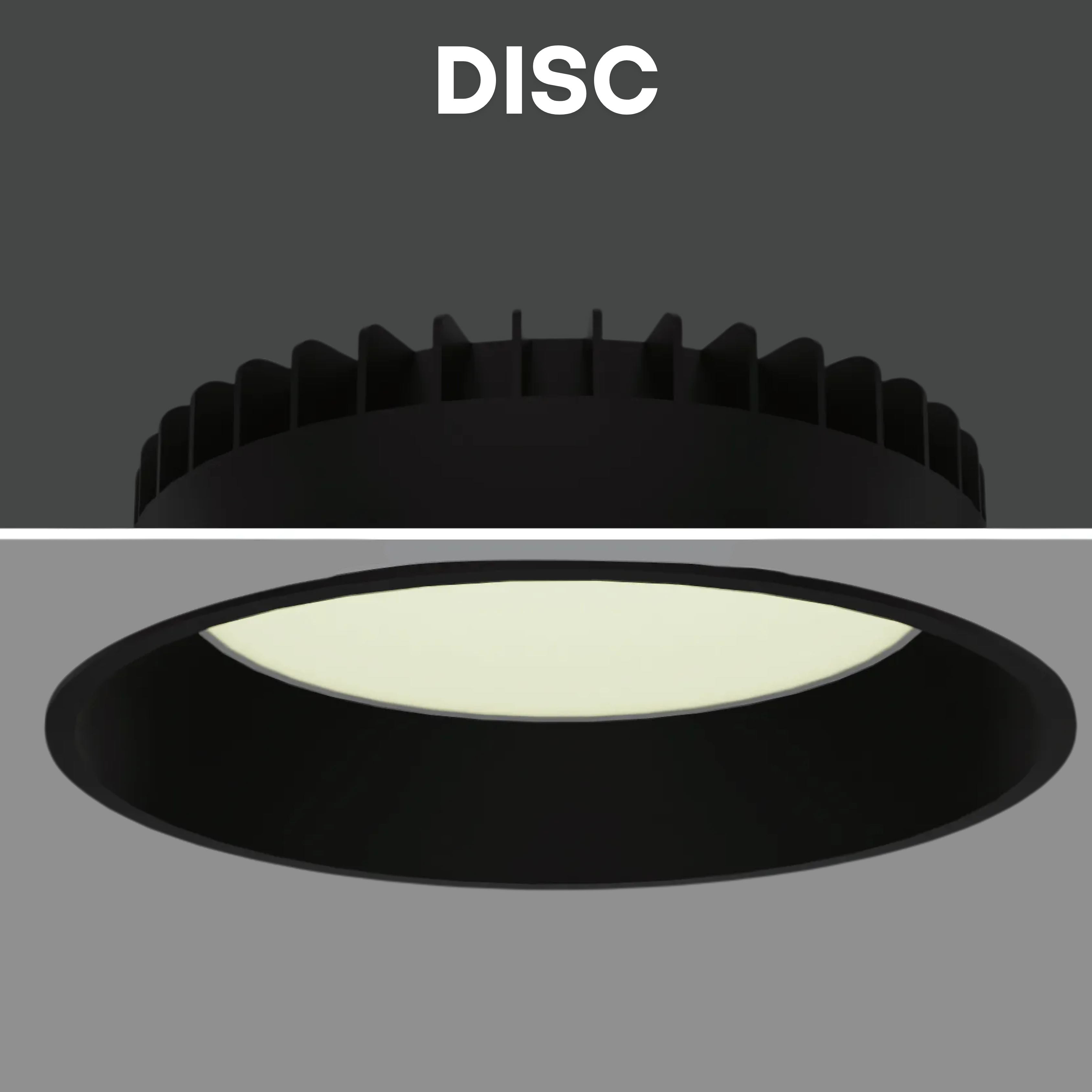 DISC