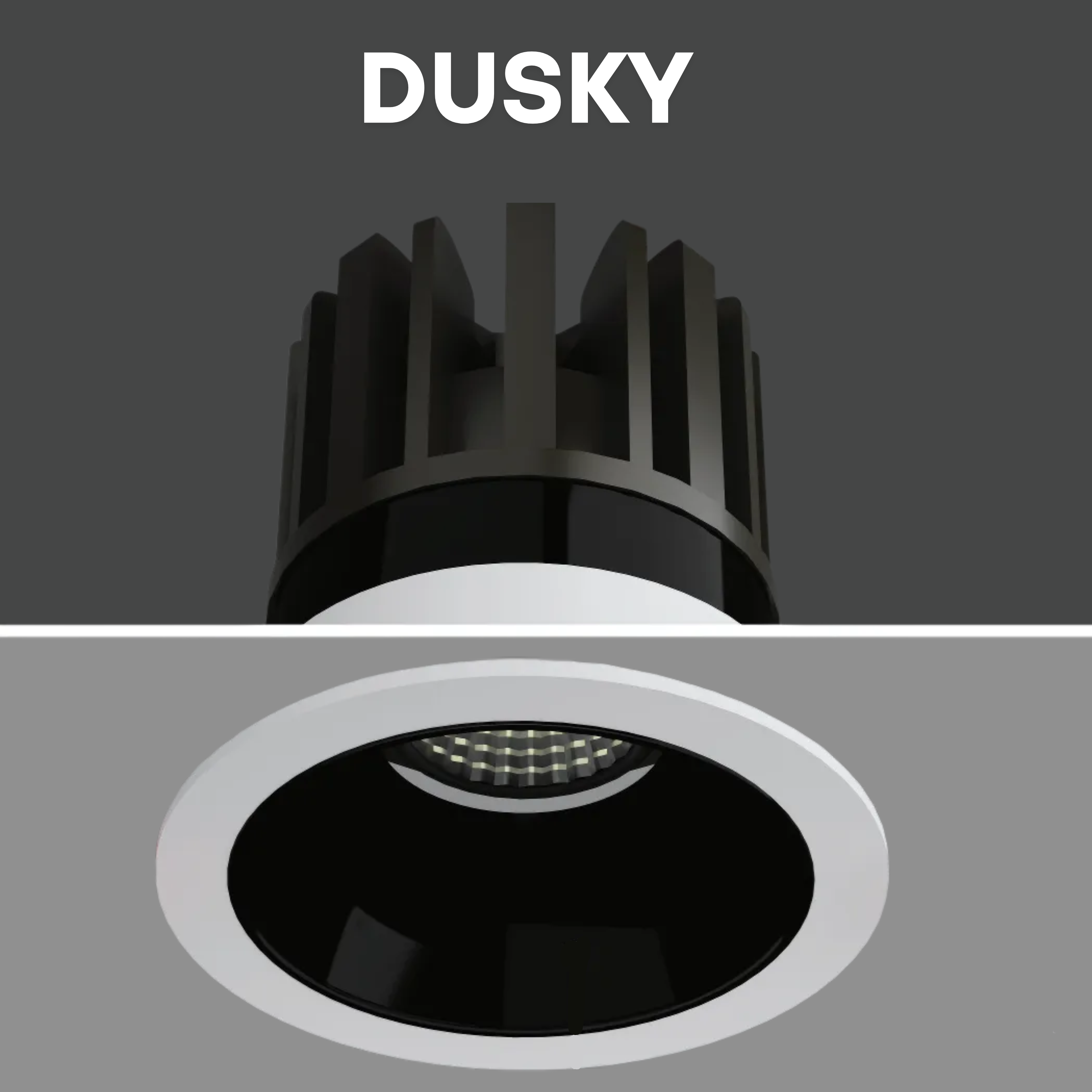 DUSKY