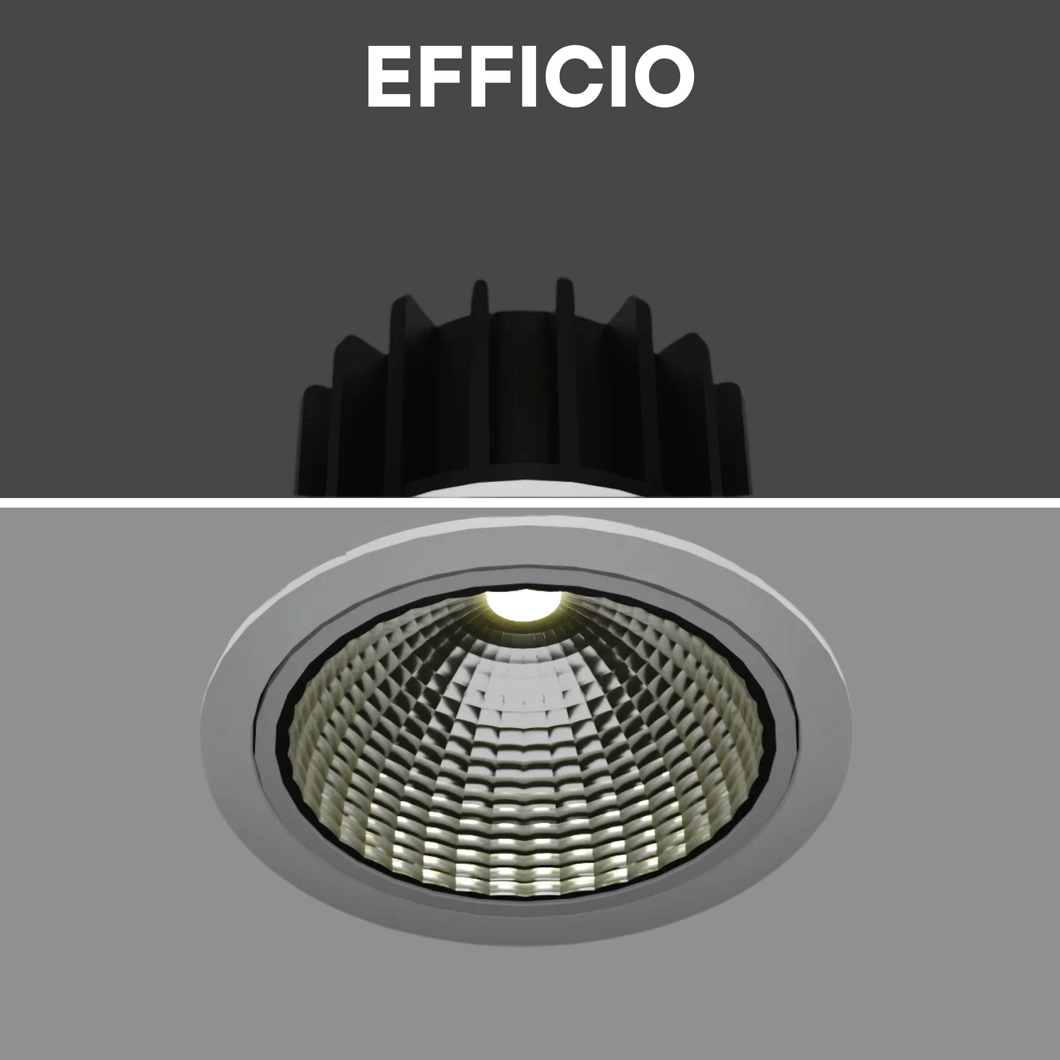 EFFICIO