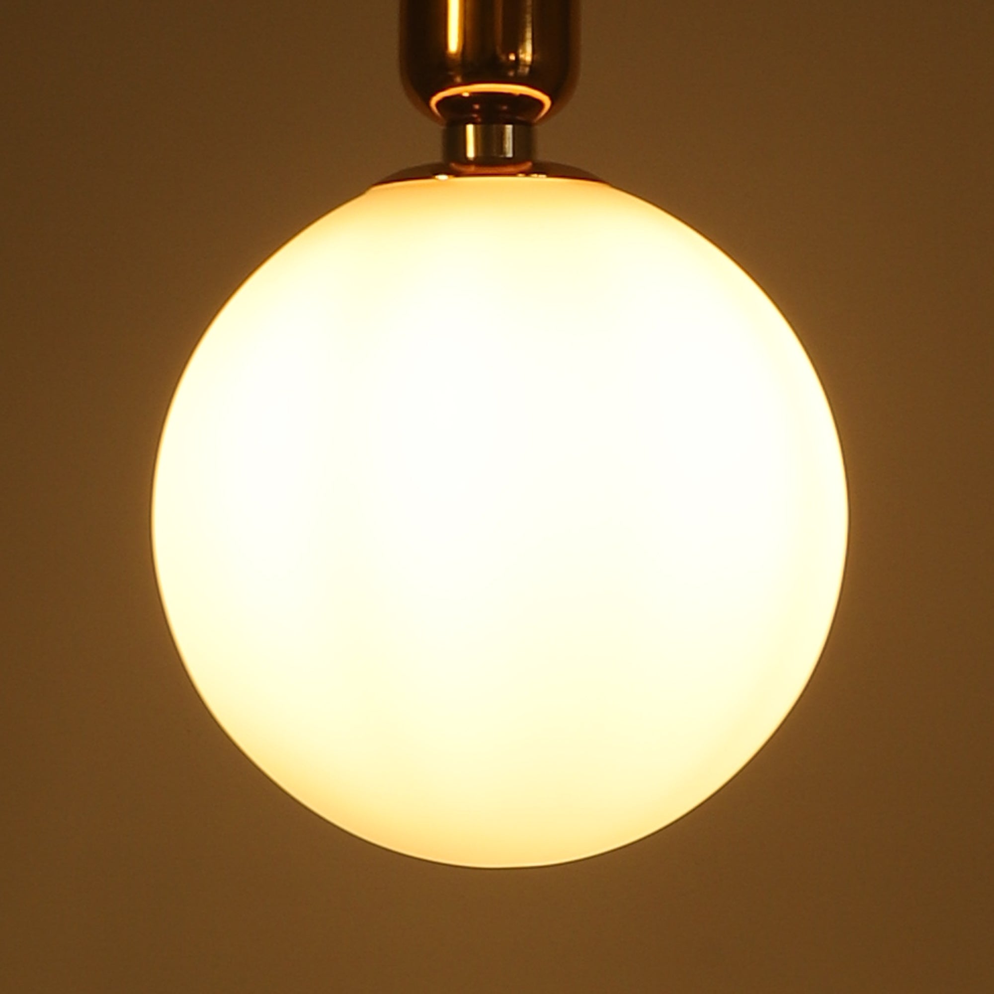 ROTO - imperial emporio