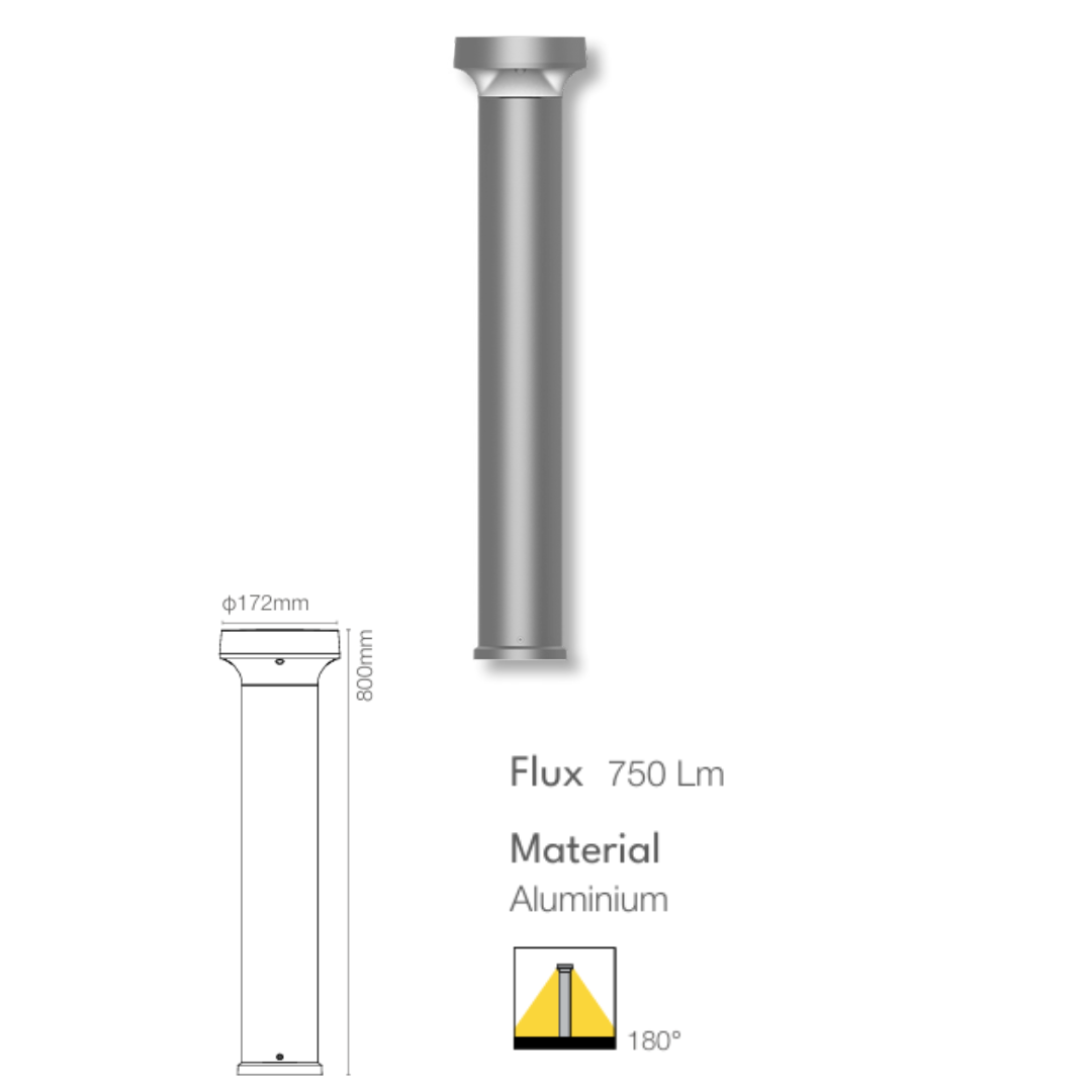 FORMA-12W