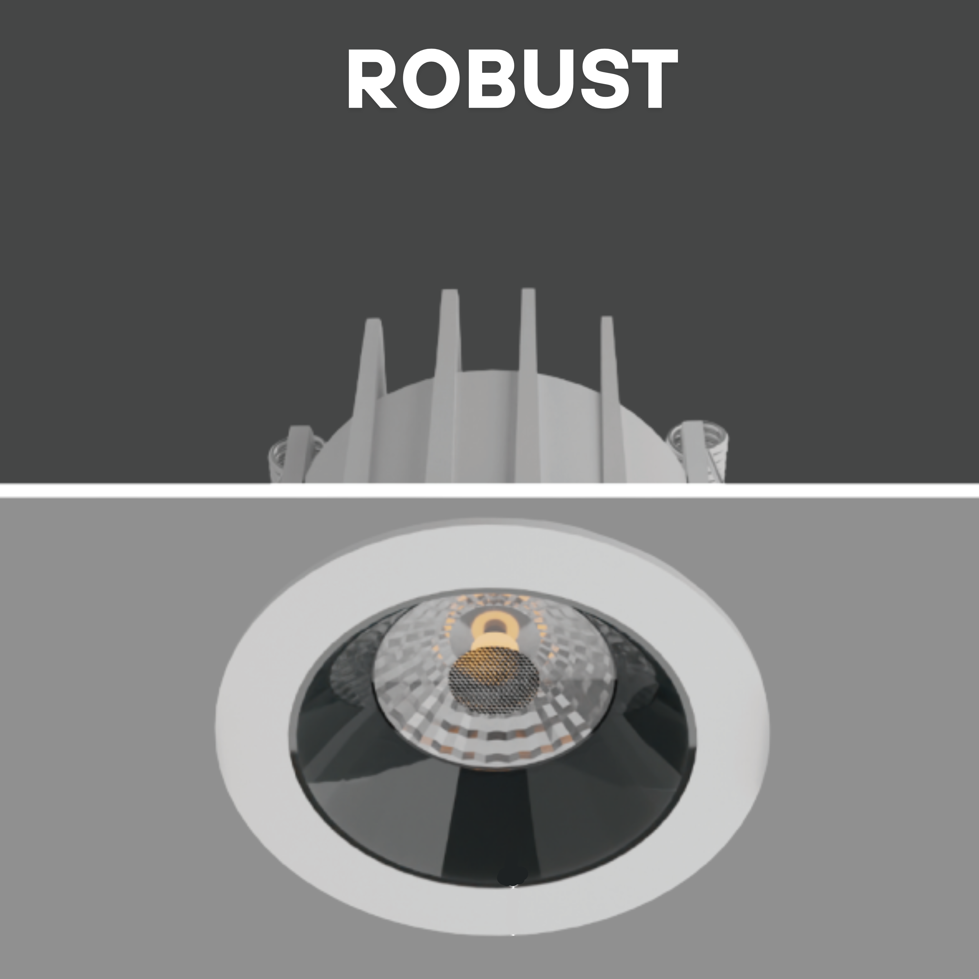 ROBUST 20-24W