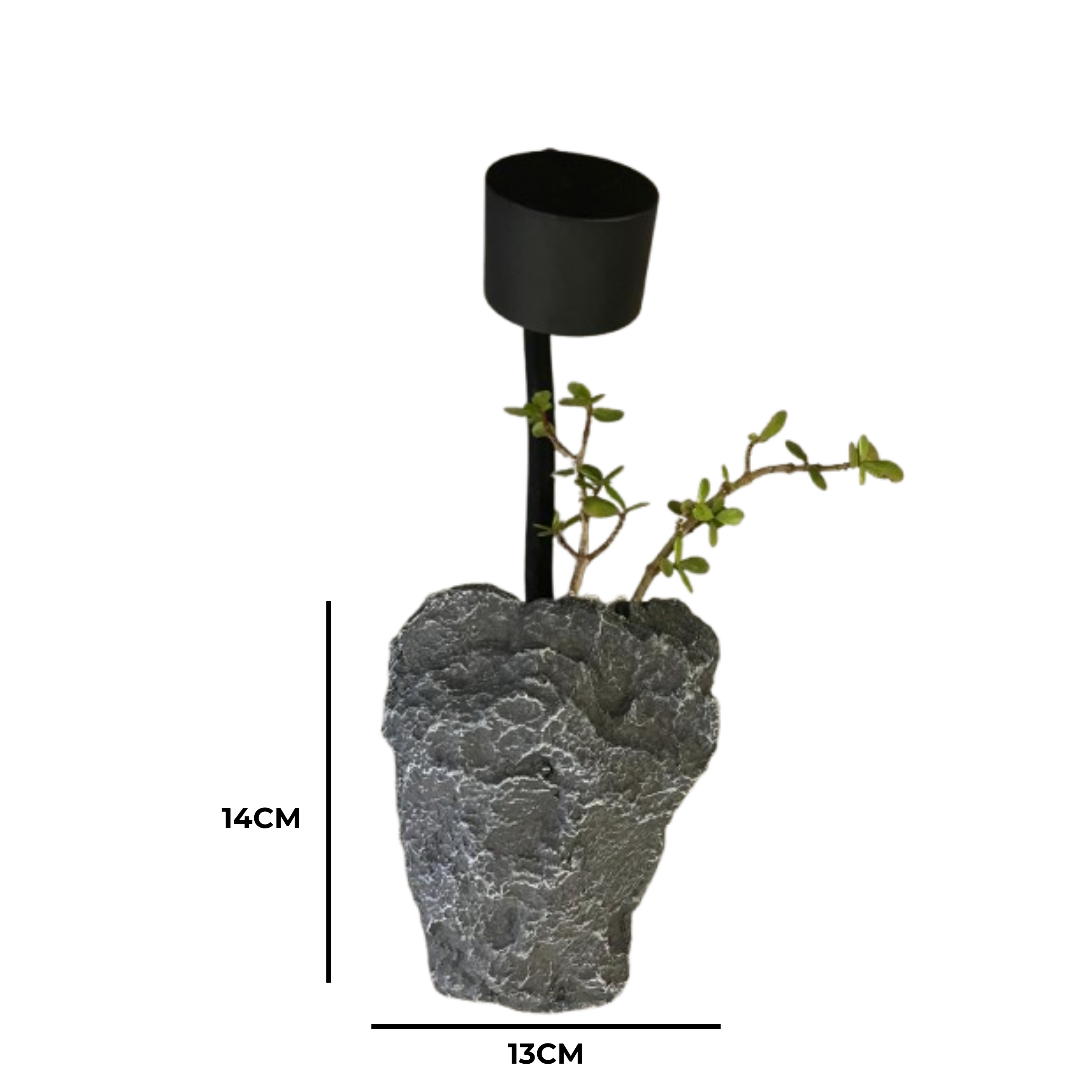 ROCK PLANTER