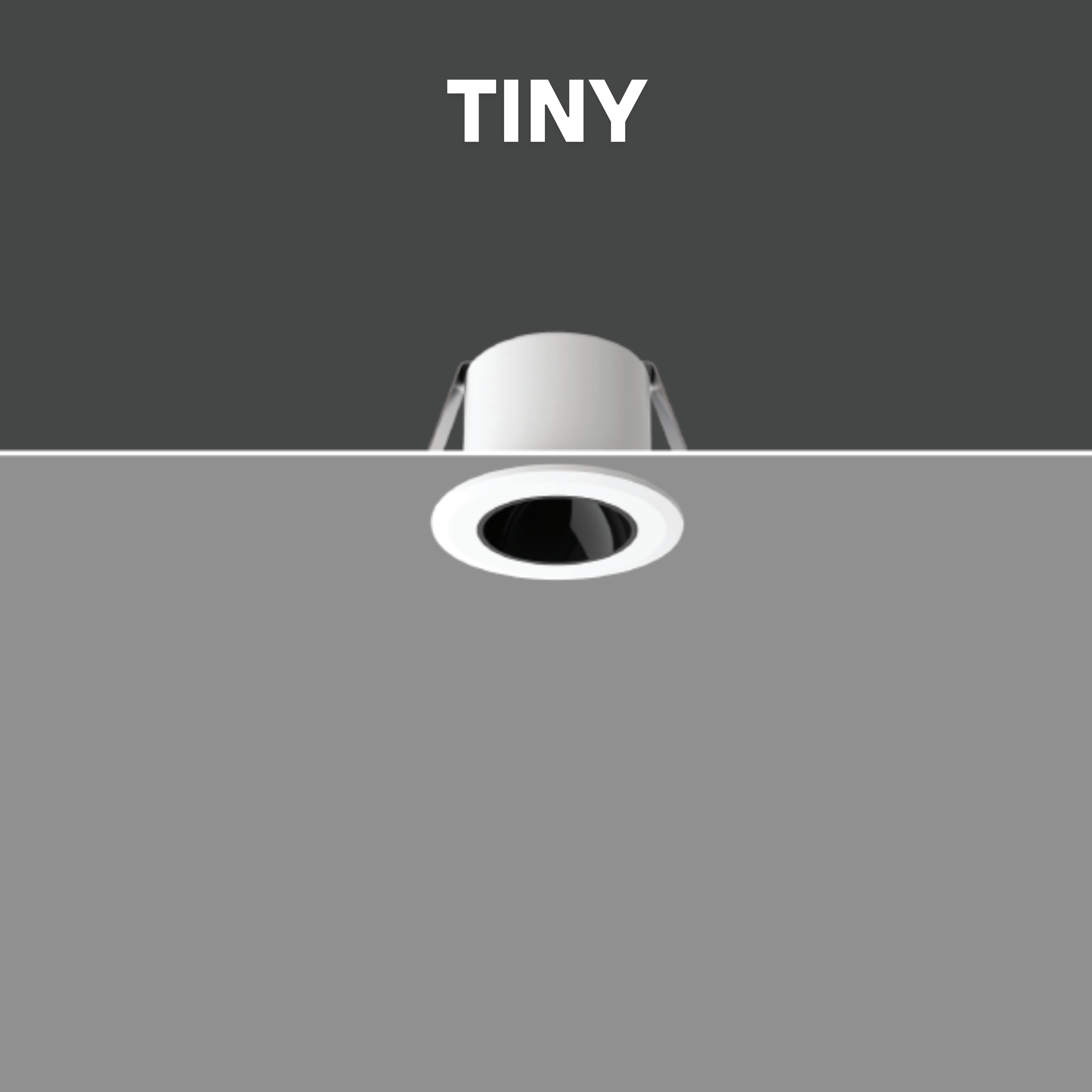TINY