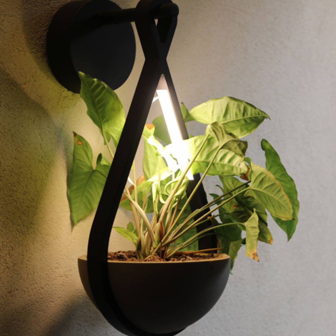 Outdoor Wall Lights