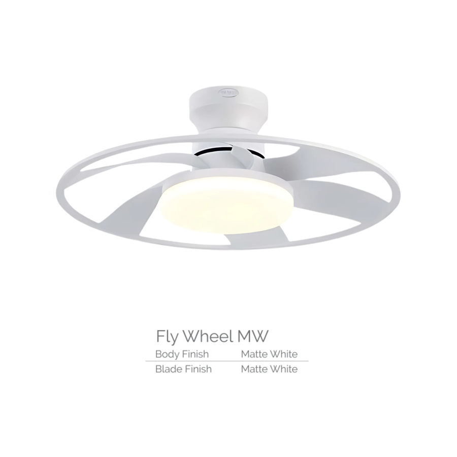 FLY WHEEL MW