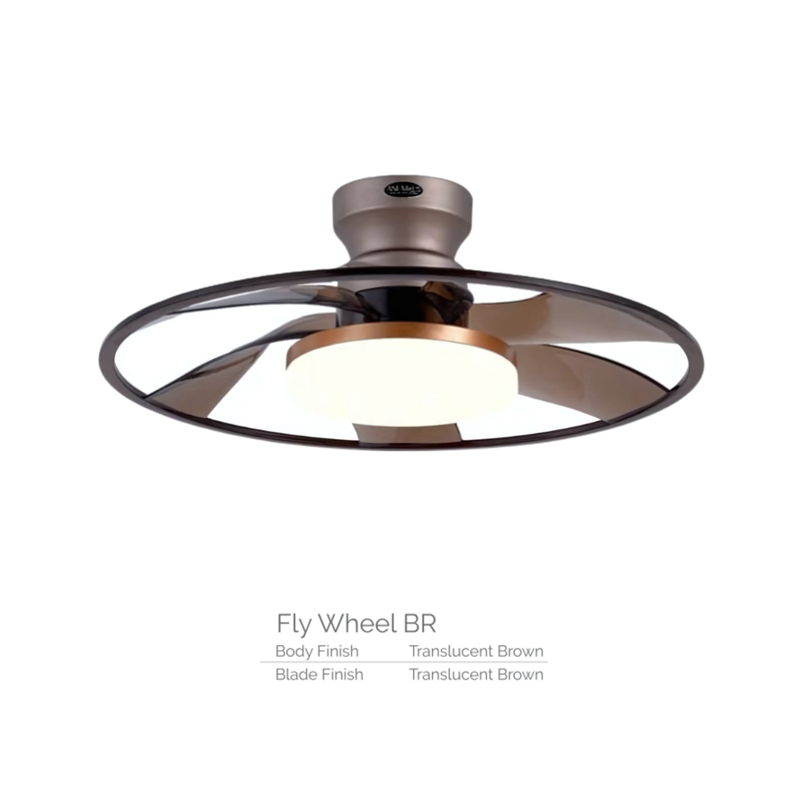 FLY WHEEL BR