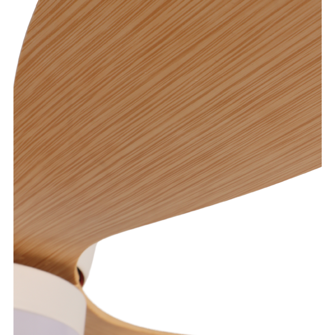 AERO EDGE