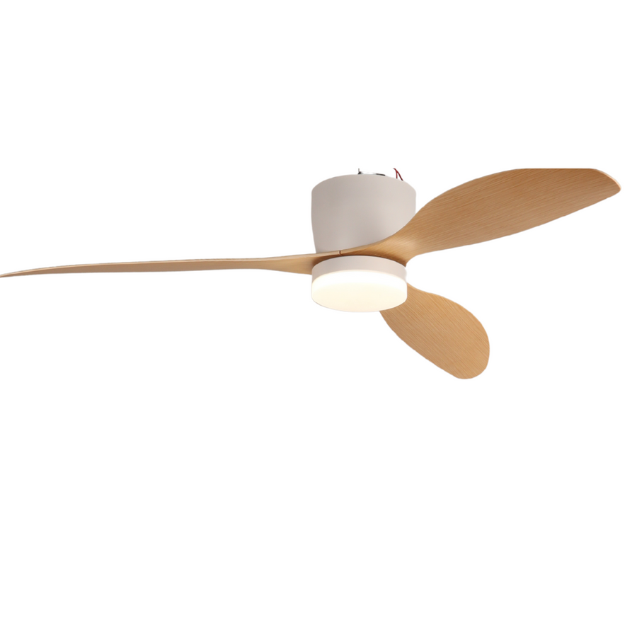 AERO EDGE