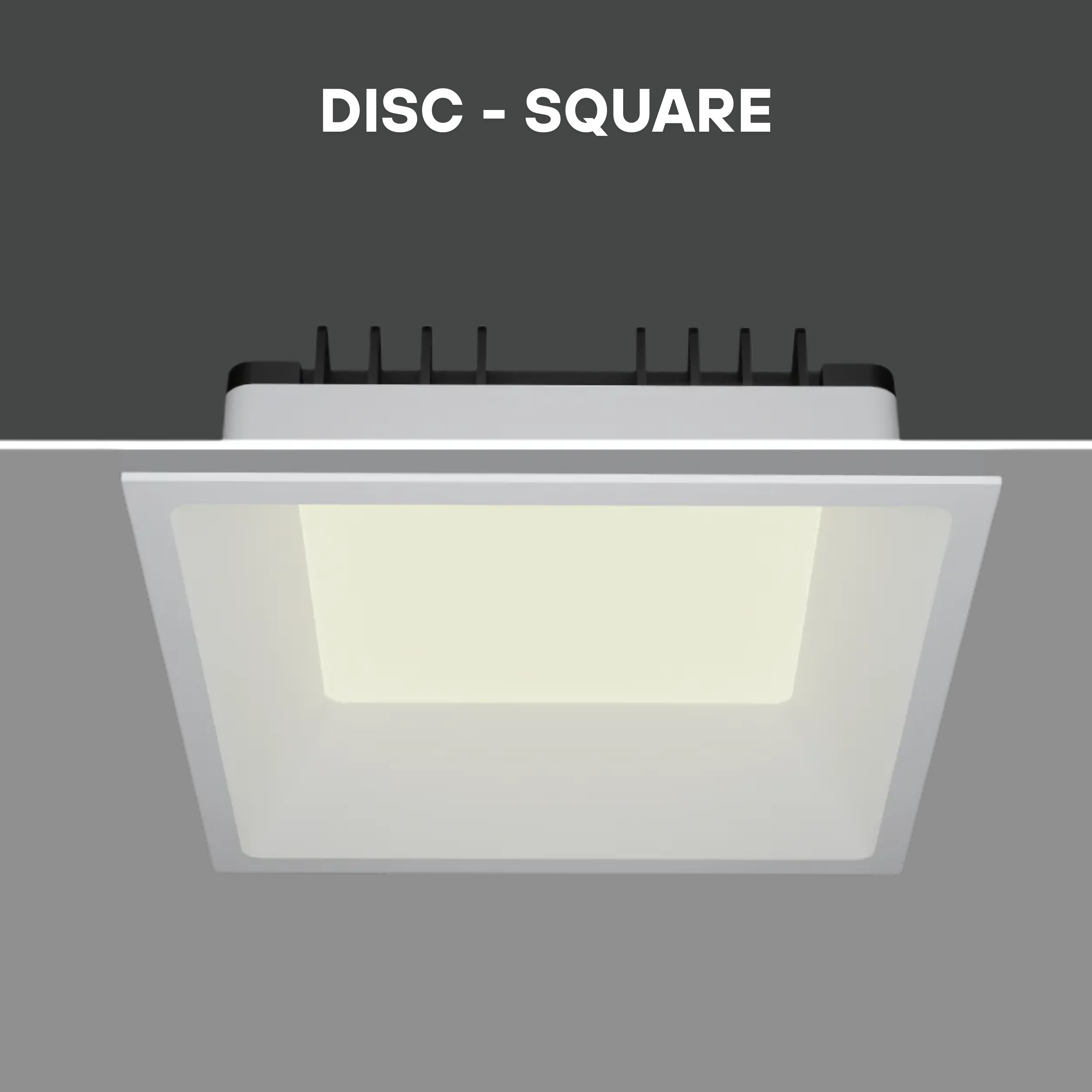 DISC-SQ