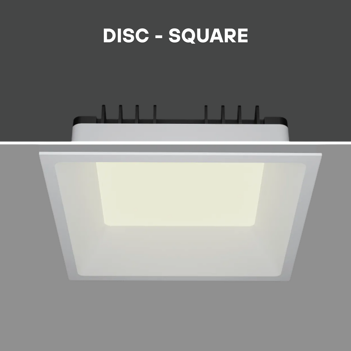 DISC-SQ