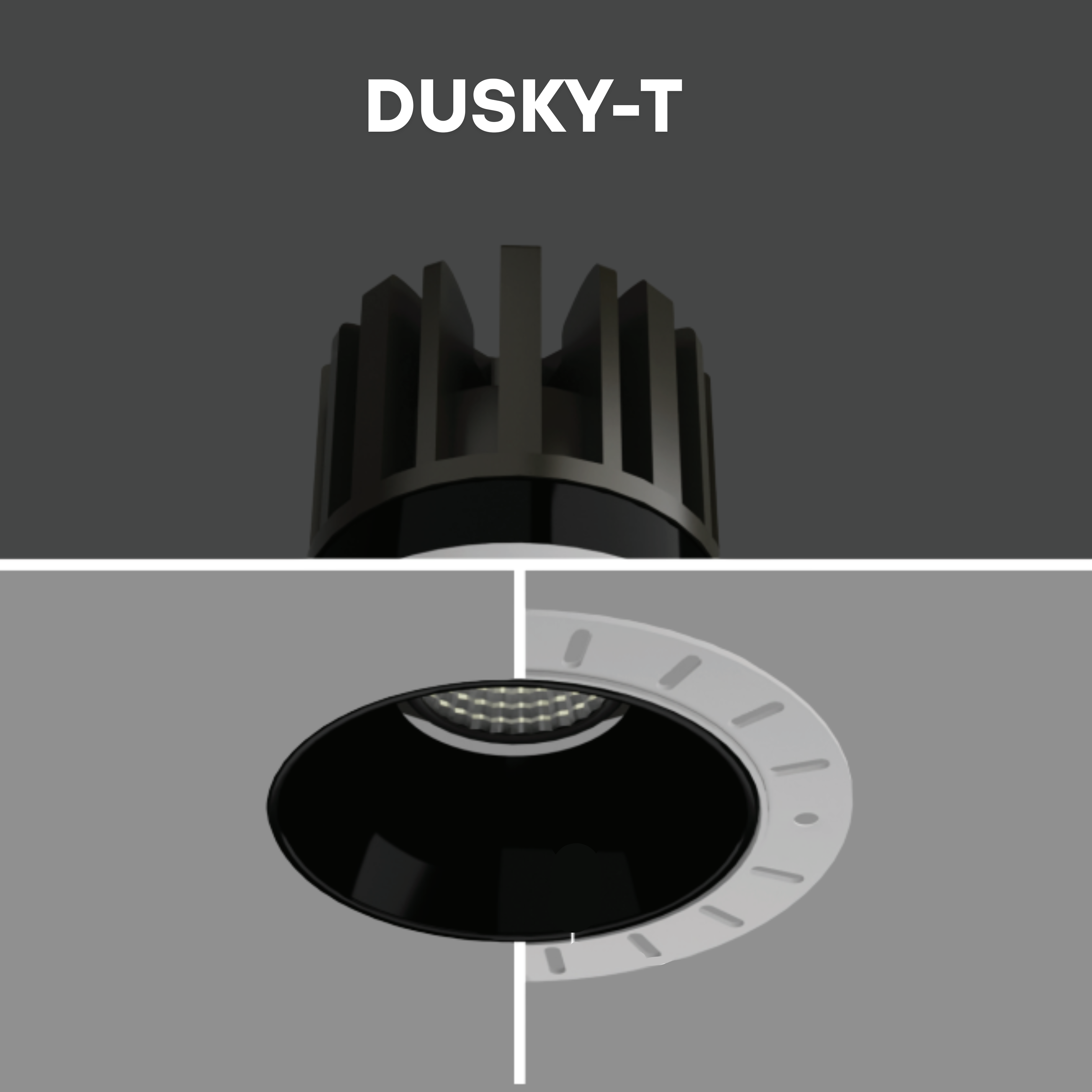 DUSKY-T