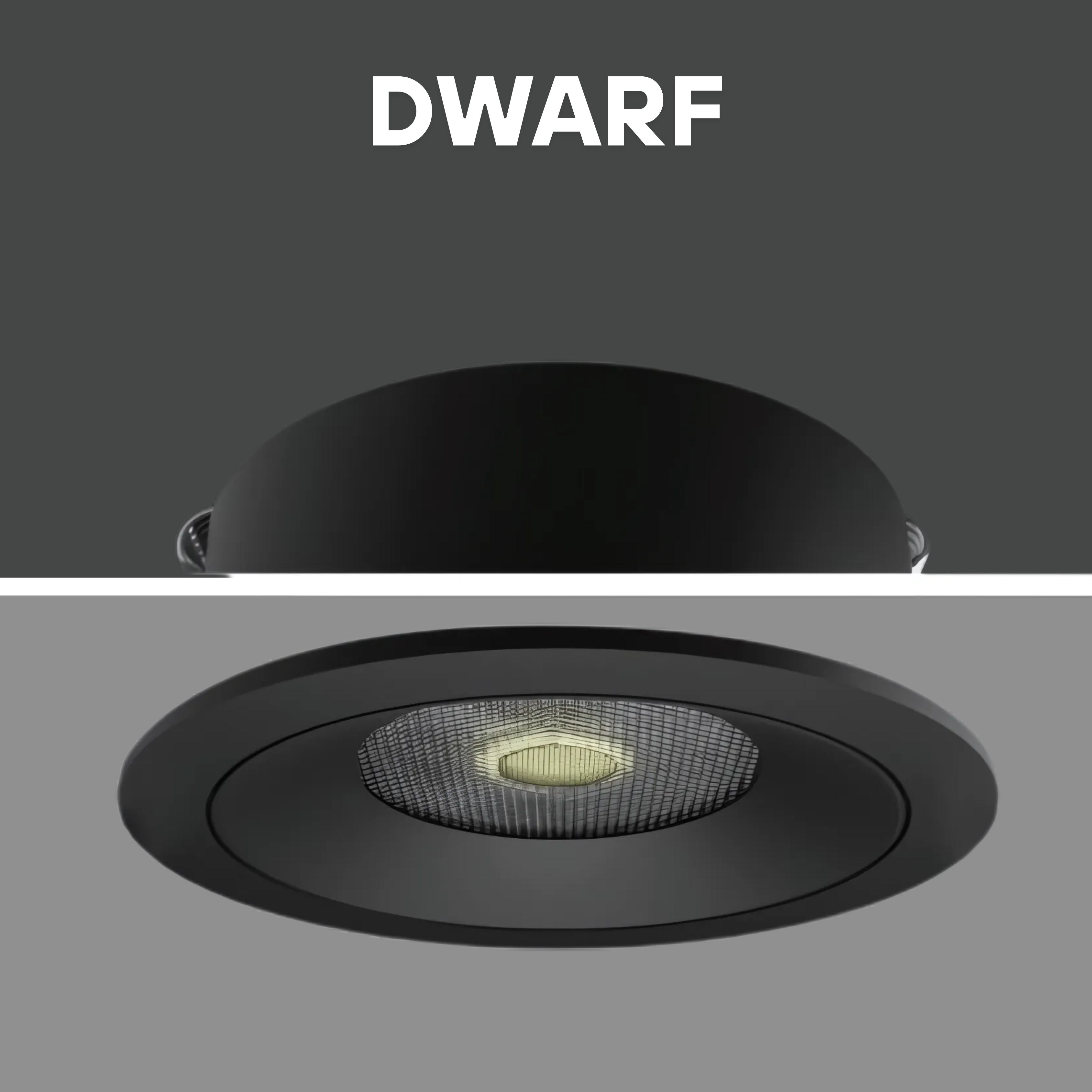 DWARF