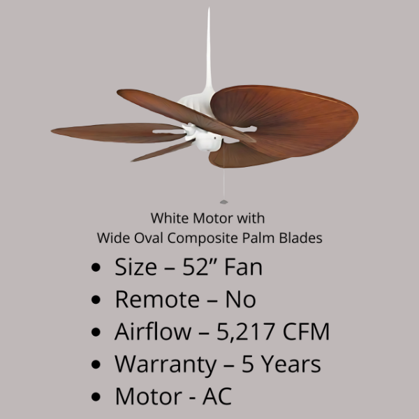 CROWN AIR