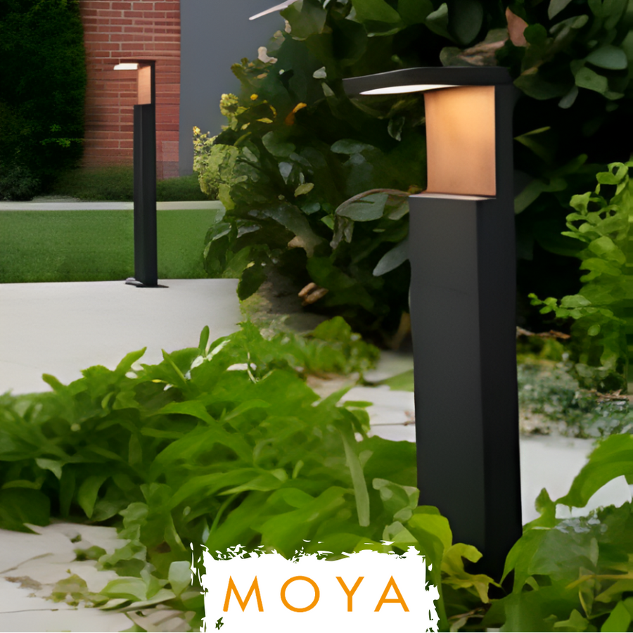 MOYA