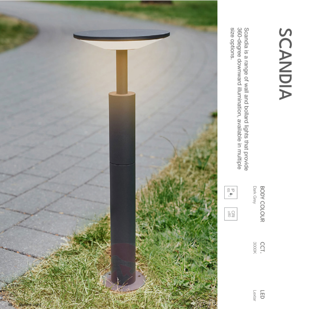 SCANDIA-13W
