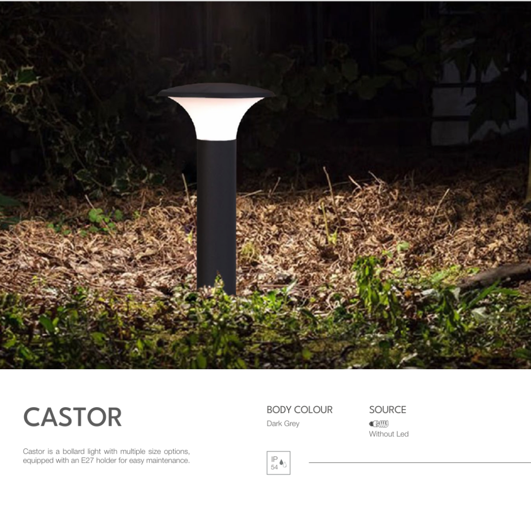 CASTOR