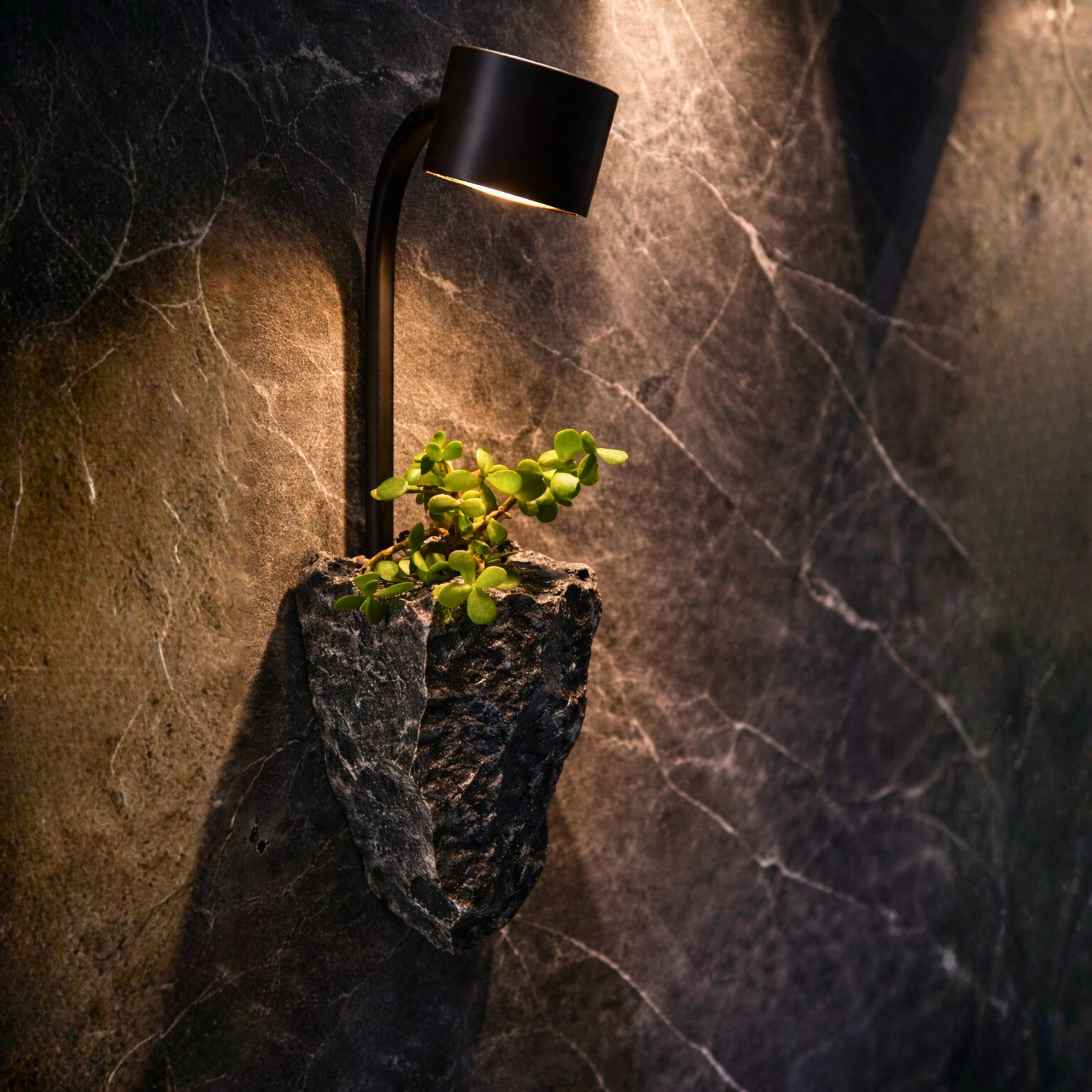 ROCK PLANTER