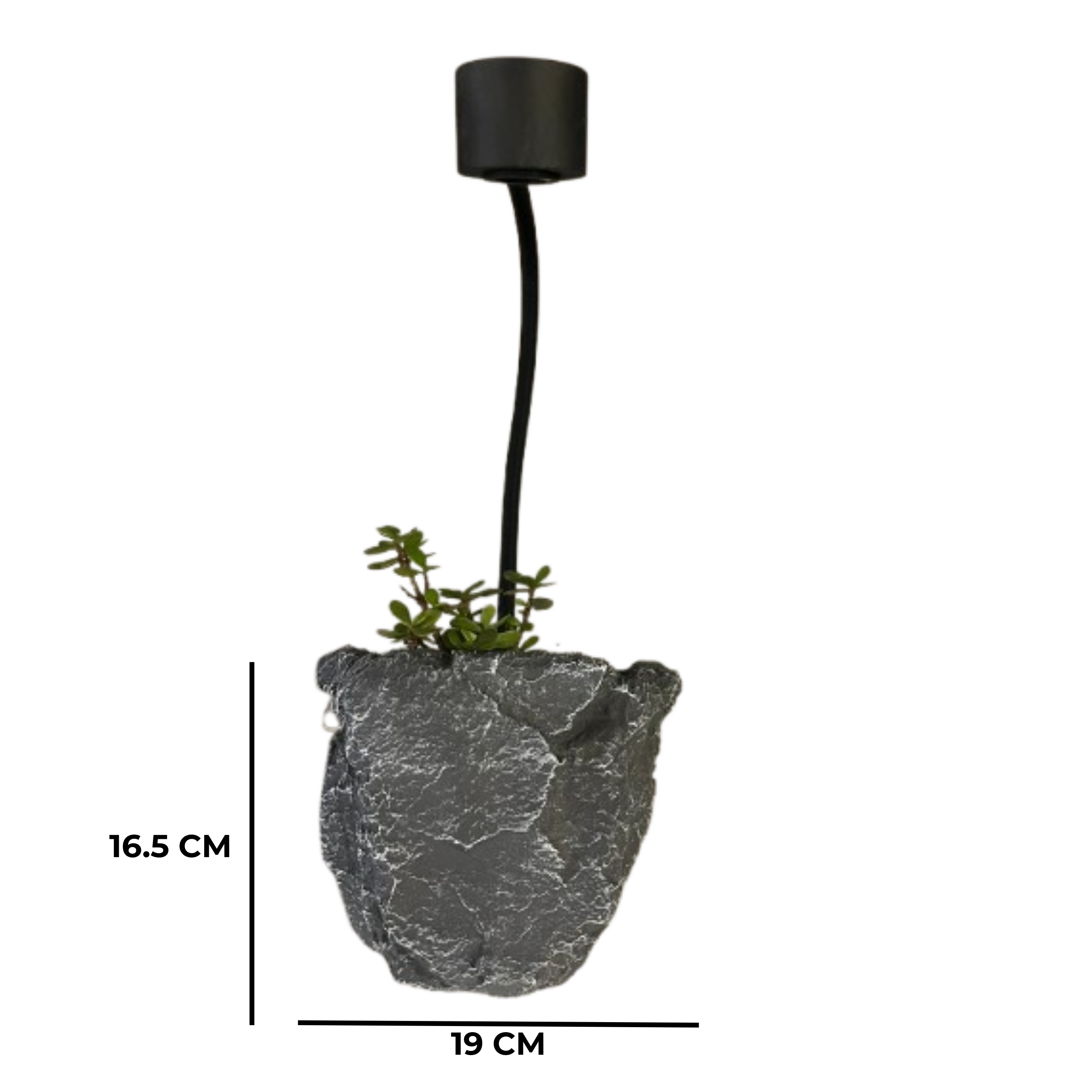 ROCK PLANTER