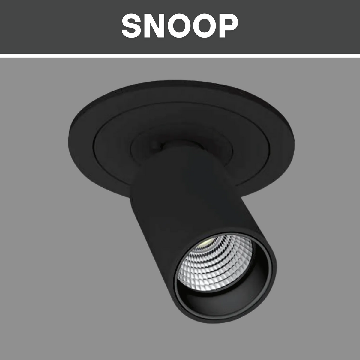 SNOOP-5W