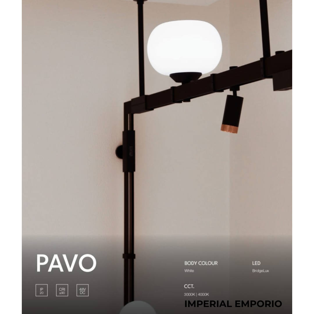 PAVO