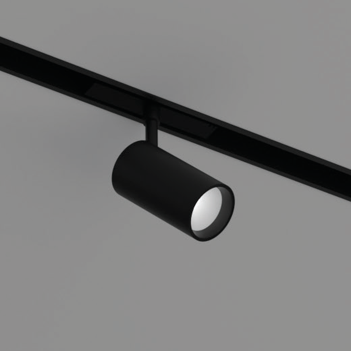 Bespoke Spot Light 5mm Black shared product photograph on illustrative track; no exact wattage is assigned.