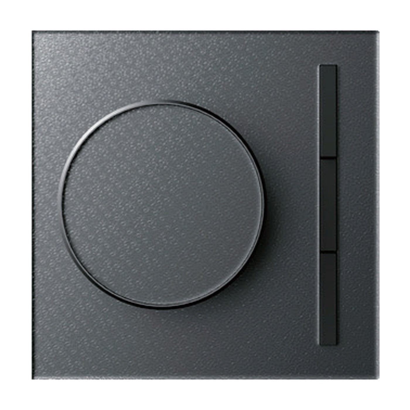 D1 Rotary Switch Lava Gray finish