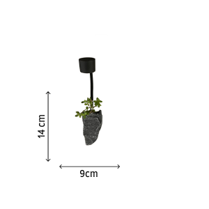 ROCK PLANTER